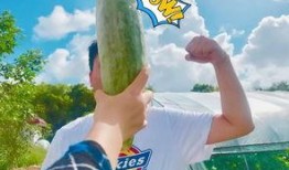 各种吃瓜网红视频,跟随镜头探秘热门视频背后的故事